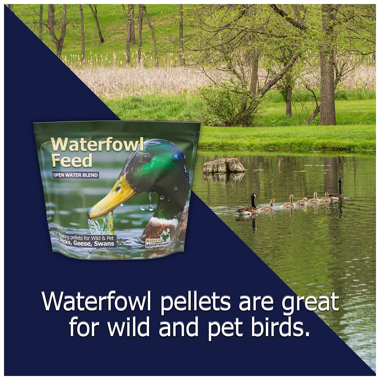 Ducks, swans and geese can thrive on Natural Waterscapes duck-swan-goose diet