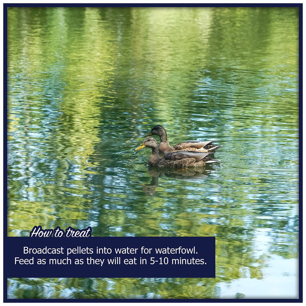 Fiber-protein balance in Natural Waterscapes Waterfowl Feed reduces waste