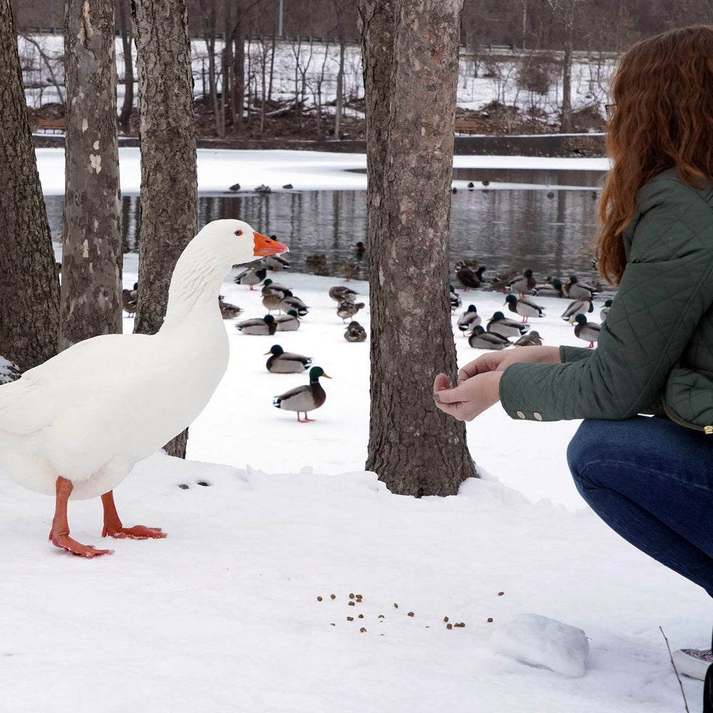 Park feeding with Natural Waterscapes Waterfowl Feed for wildlife and pets