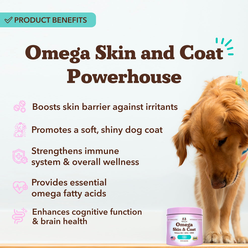 Natural Dog Company Omega Chews soft treats closeup highlighting daily omega benefits.