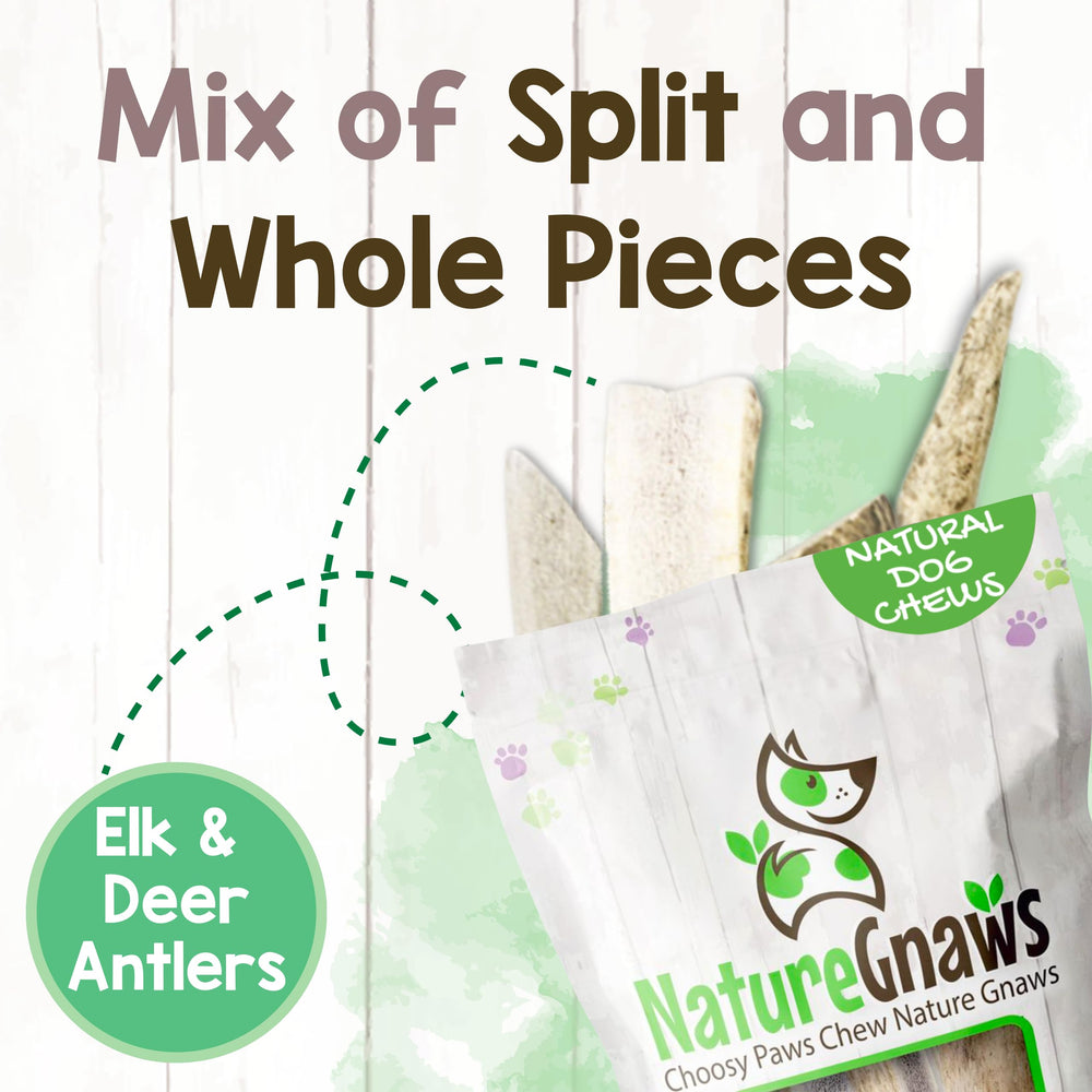 Nature Gnaws hard texture antlers; keeps dogs engaged for extended play.