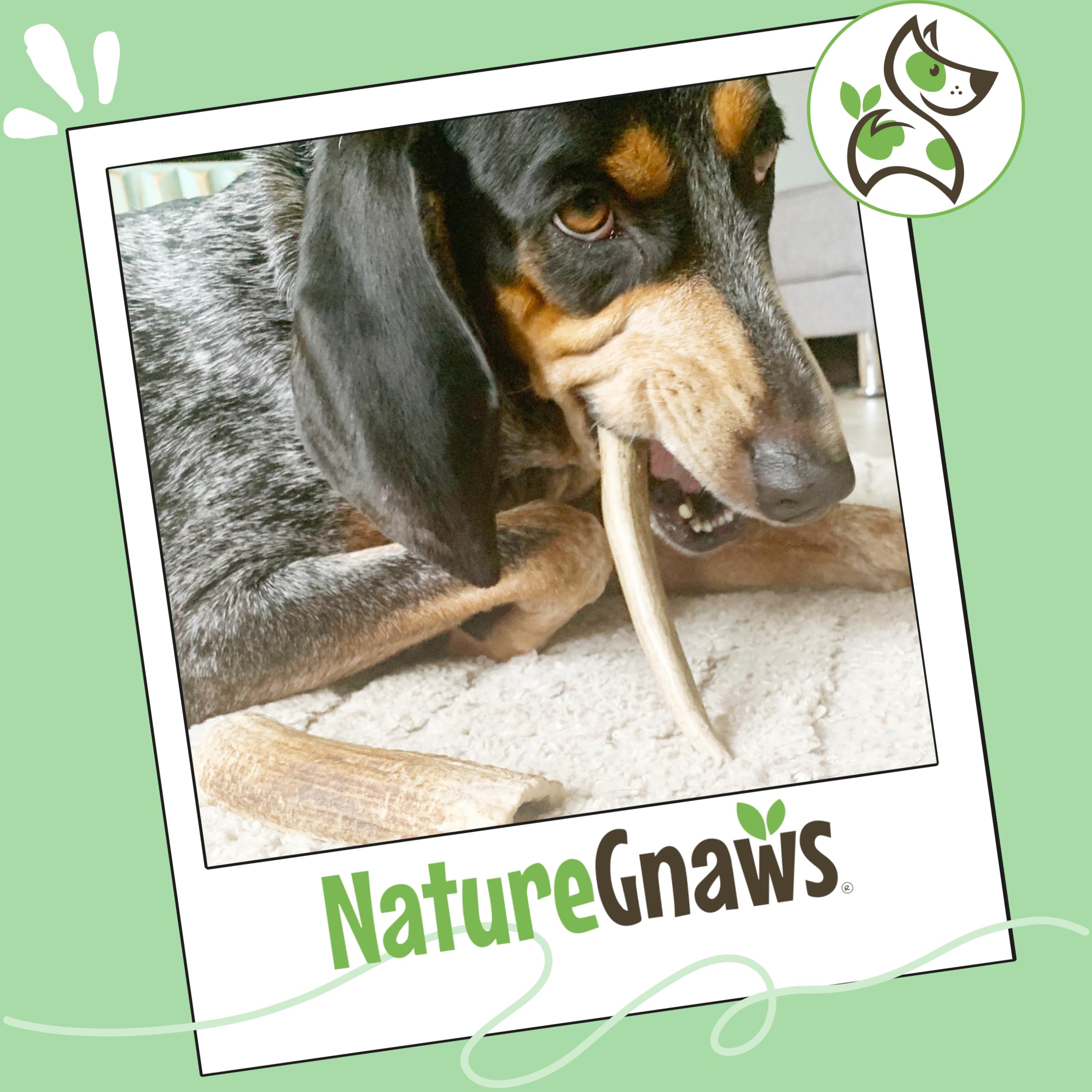 Nature Gnaws mineral-rich dog chews; supports a healthy chew session.