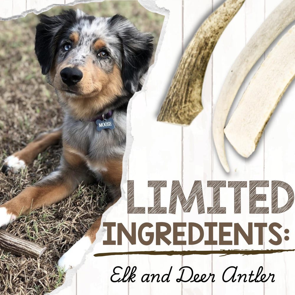 Nature Gnaws rawhide-free antlers; natural alternative to traditional bones.