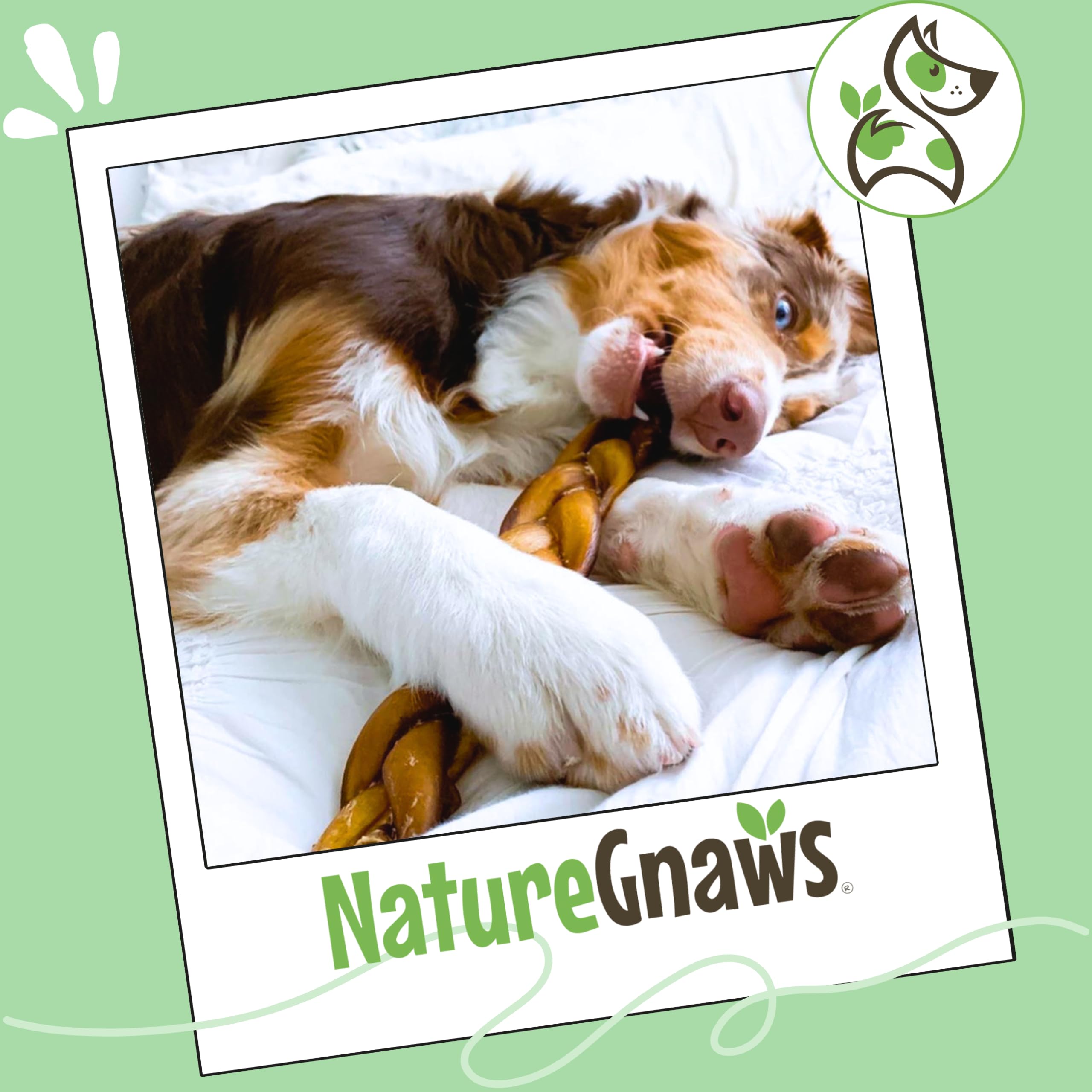Nature Gnaws beef flavor and natural scent engage dogs during treats.