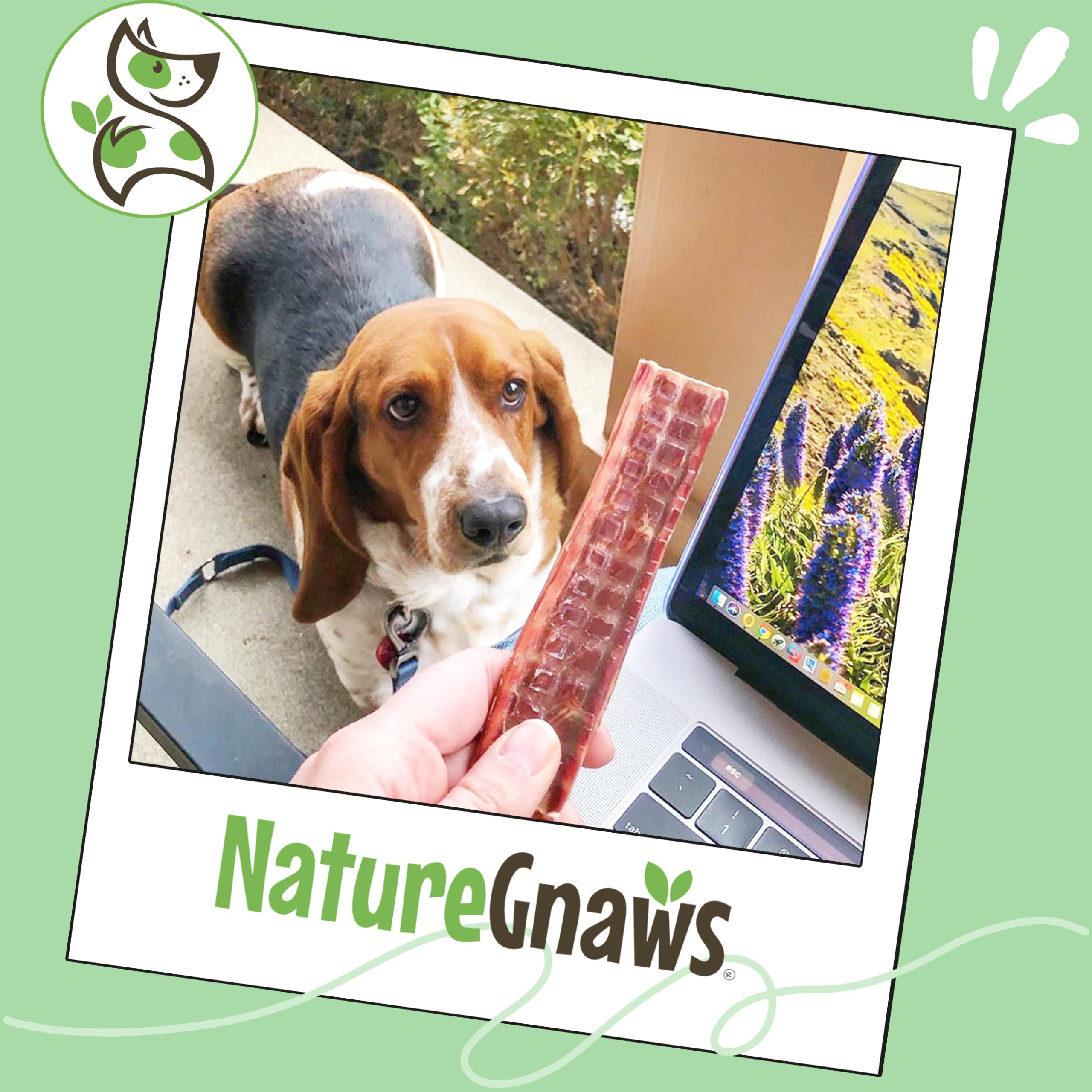 Nature Gnaws logo on packaging signals natural, responsibly sourced treats