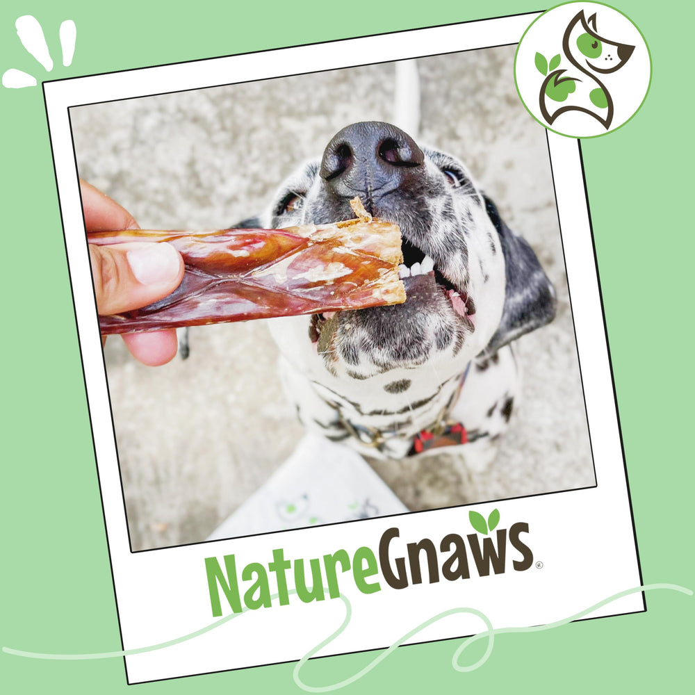 Front packaging of Nature Gnaws Beef Gullet Chews with brand info.