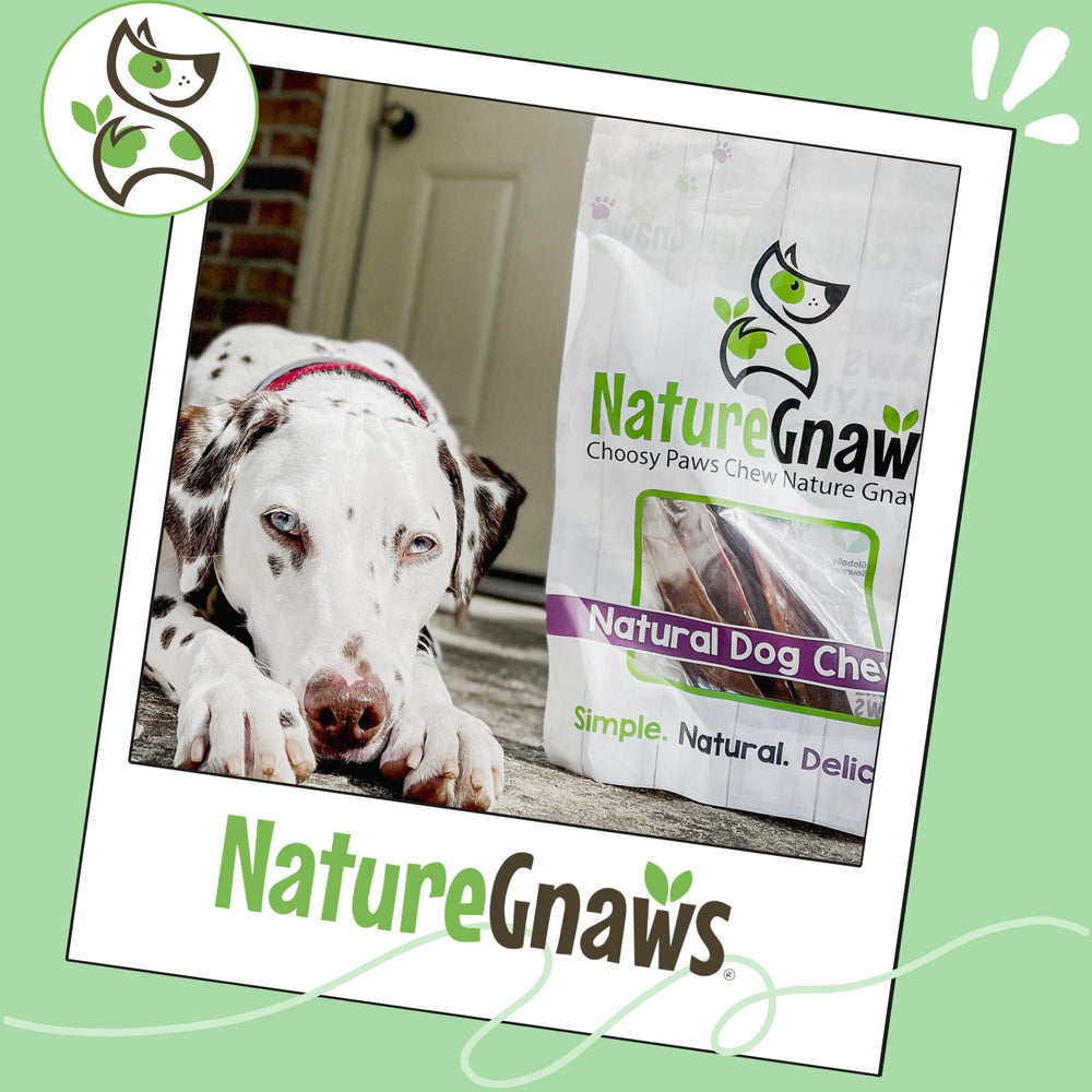Packaging highlight natural ingredients and responsible sourcing by Nature Gnaws.
