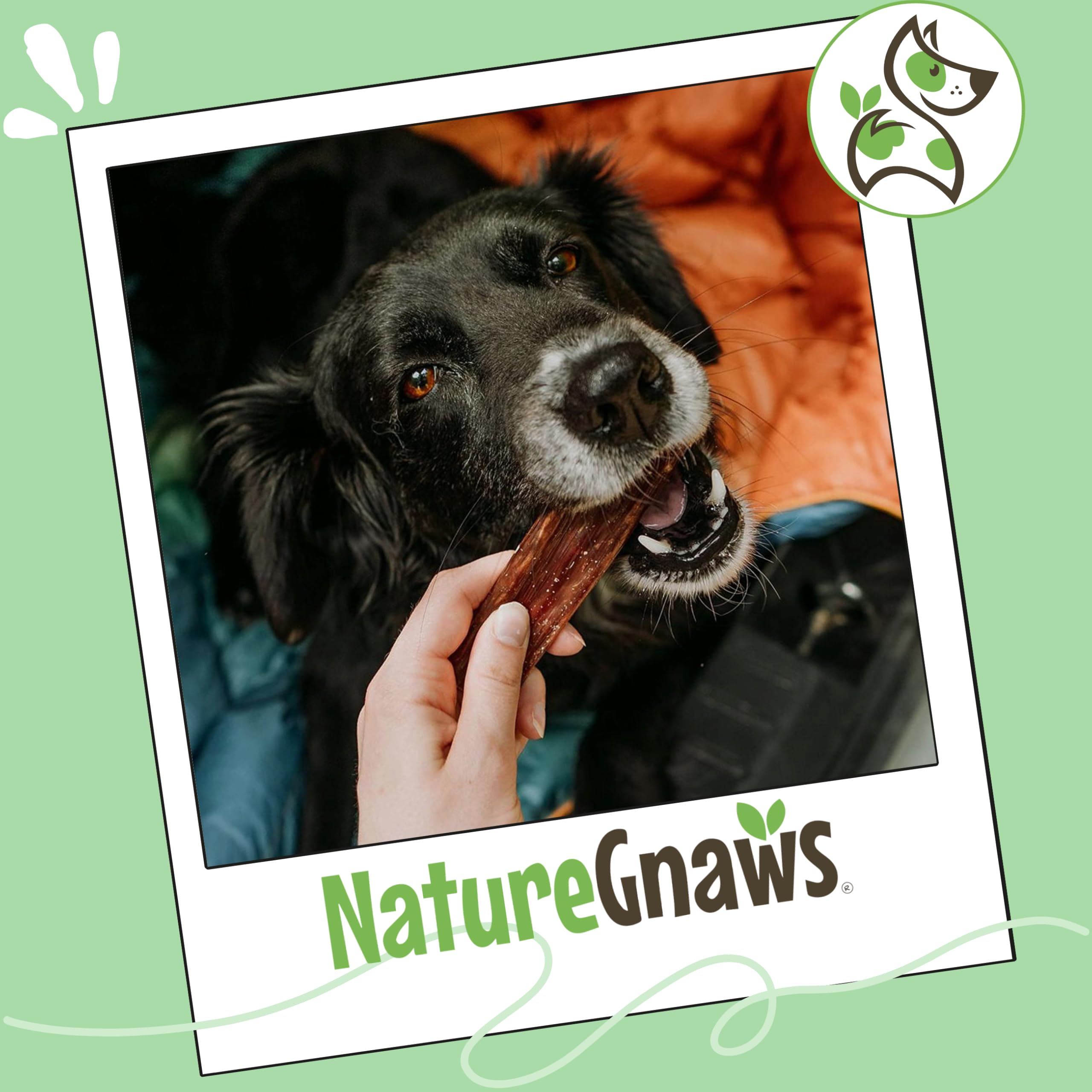 Nature Gnaws Beef Gullet Chews help teething puppies stay busy