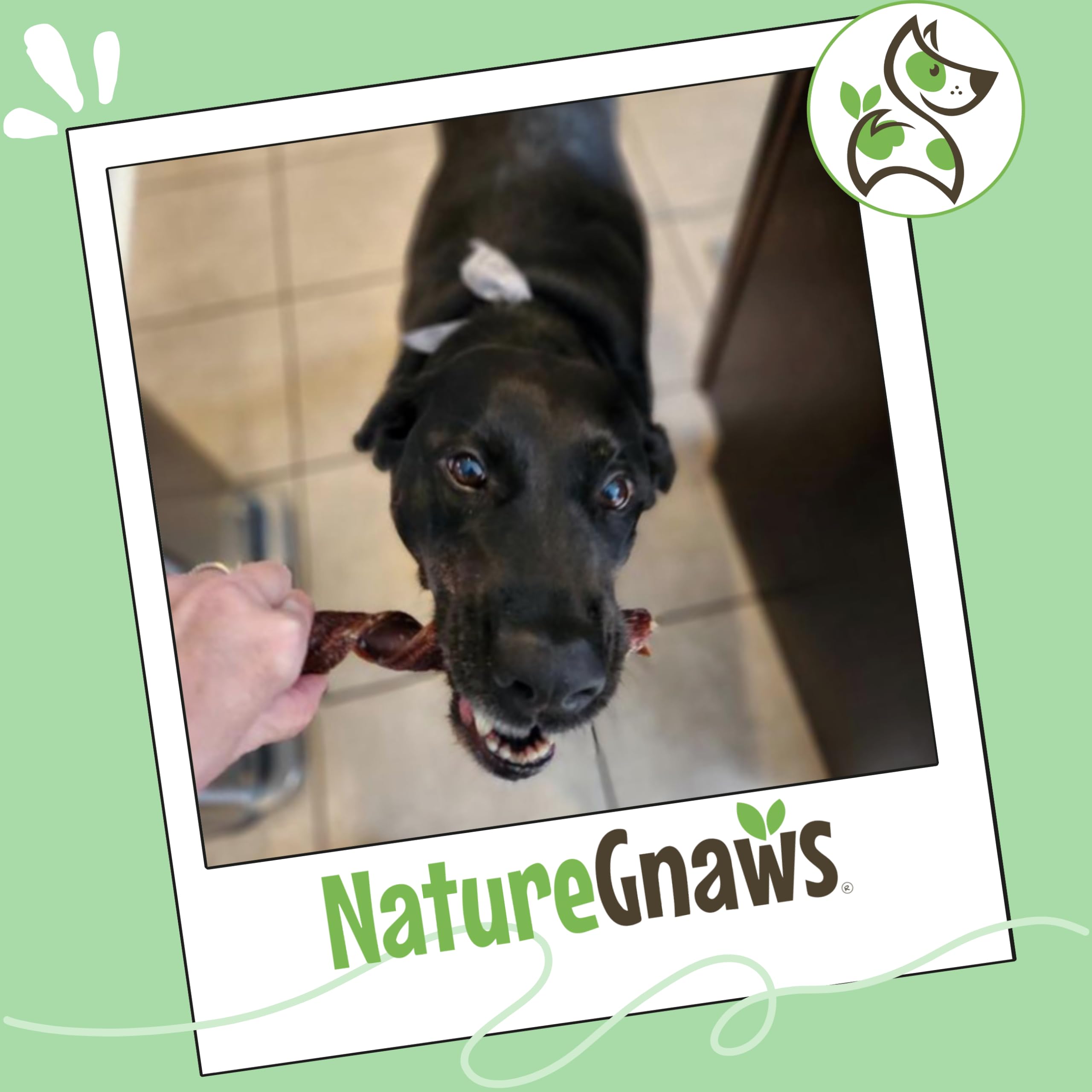 Nature Gnaws Beef Gullet Springs for all dogs with grain free profile