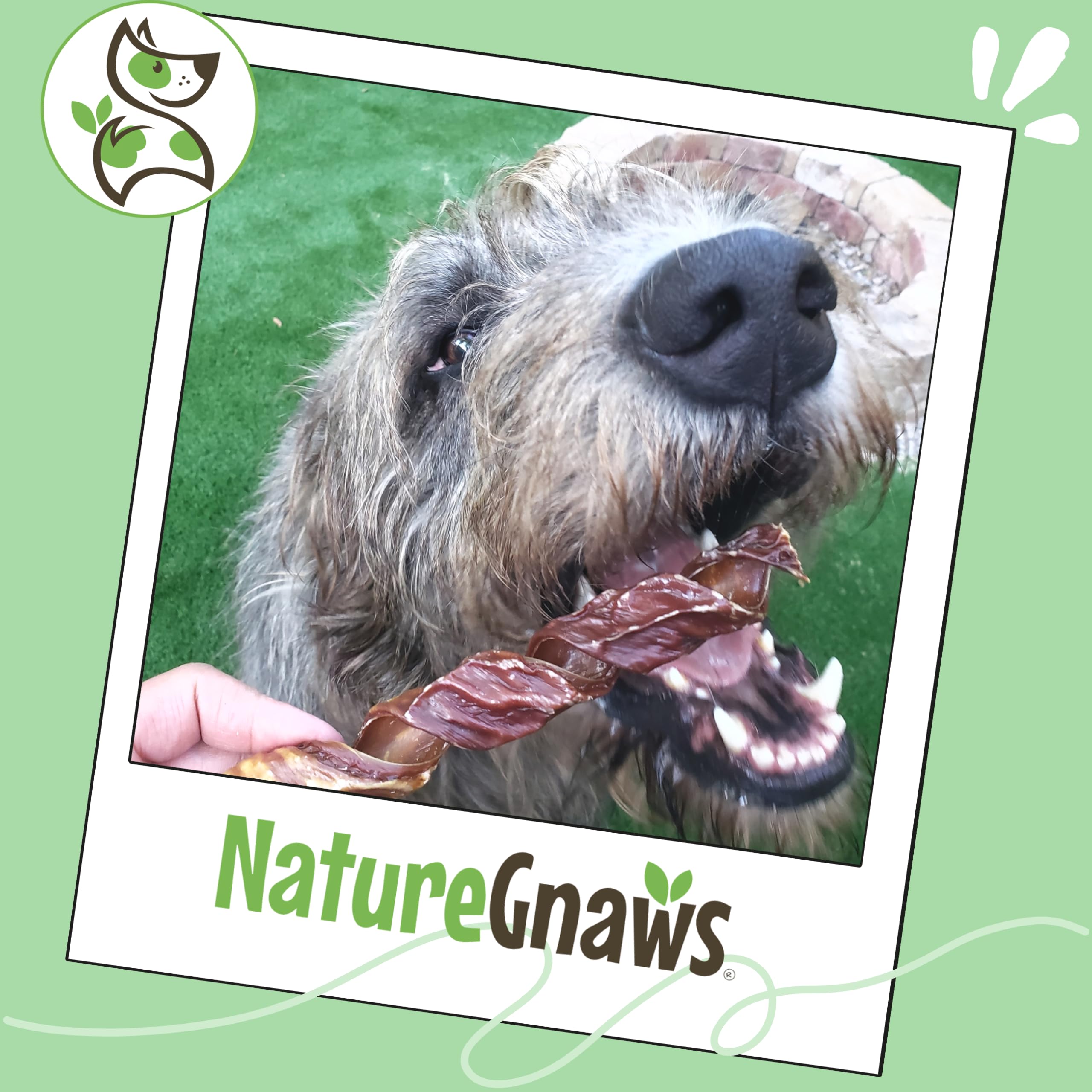 Nature Gnaws Beef Gullet Springs great for moderate chewers during play