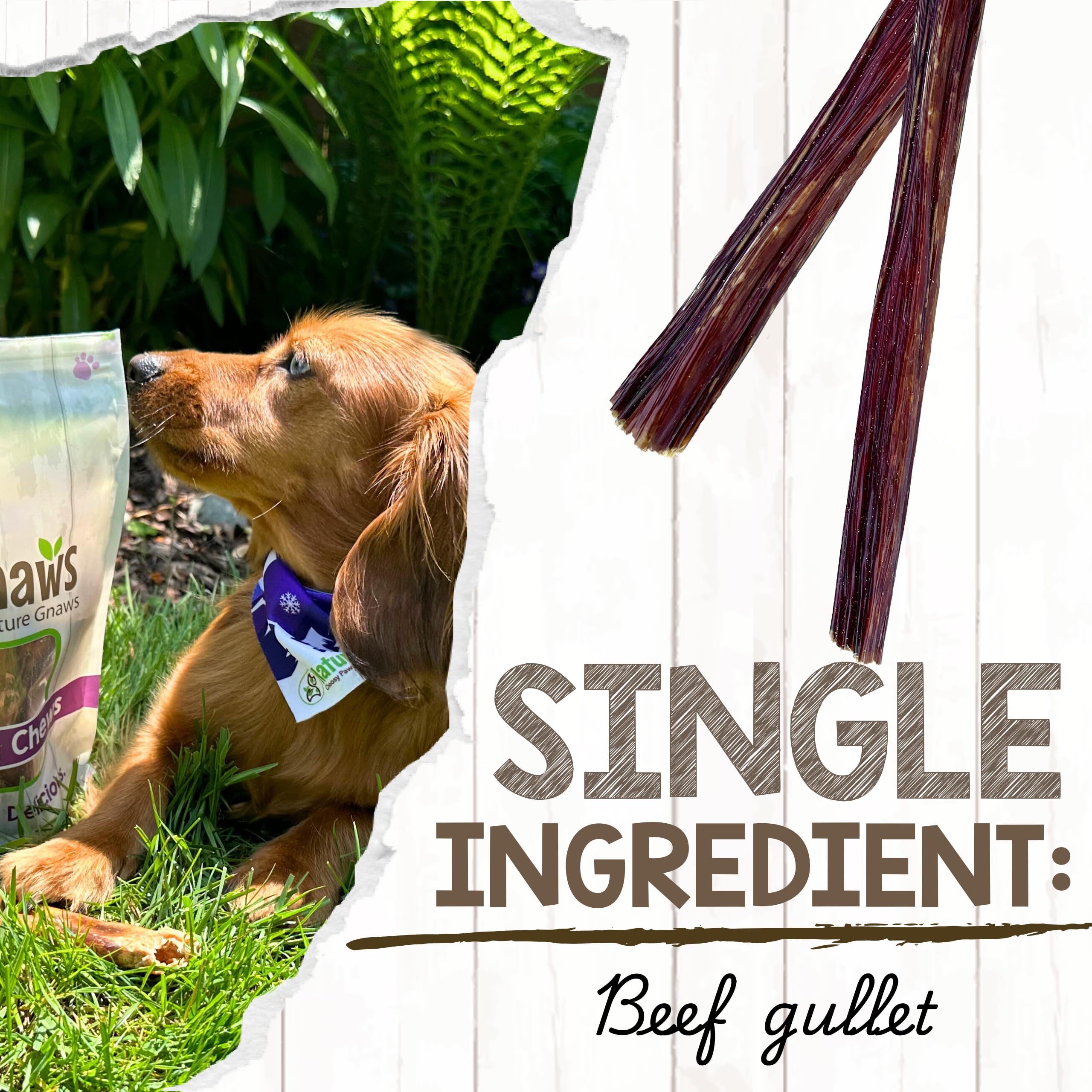 Nature Gnaws Beef Gullet Sticks for small and medium dogs.