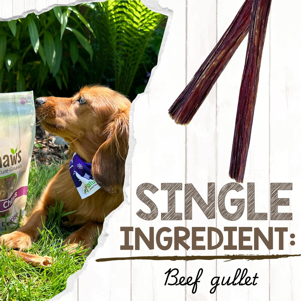 Nature Gnaws Beef Gullet Sticks for small and medium dogs.