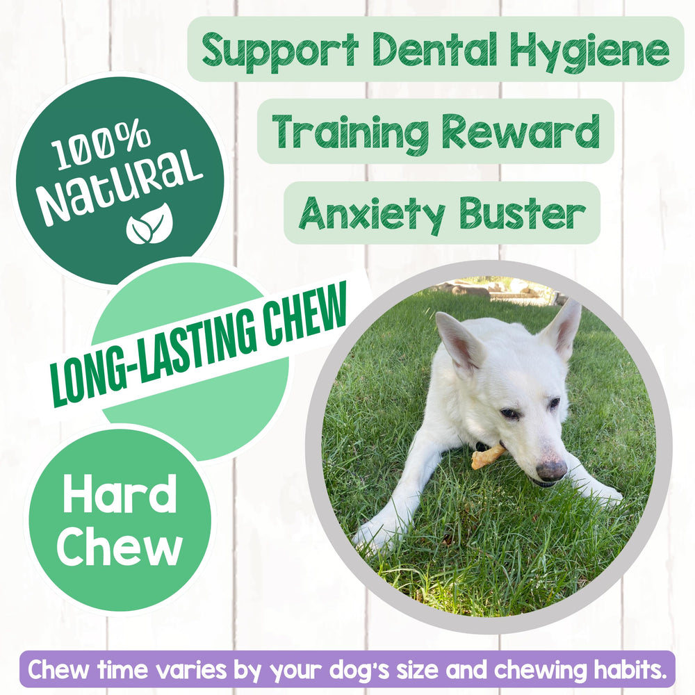 Nature Gnaws Paddywack tendons ideal for teething puppies and chewers.