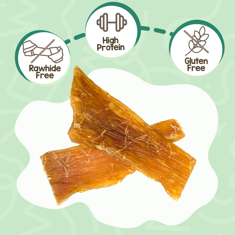 Nature Gnaws beef Paddywack tendons rawhide-free alternative for dogs.