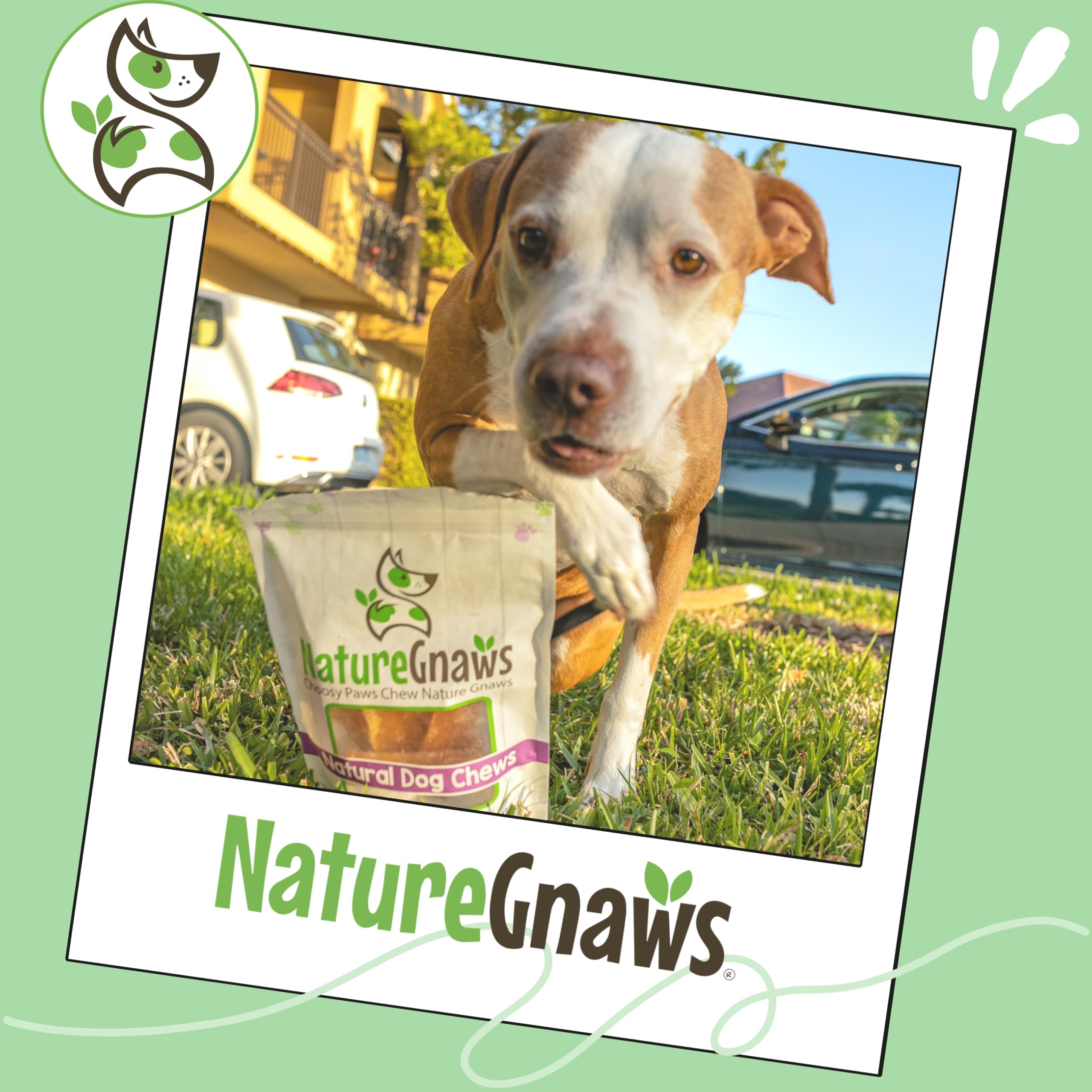 Nature Gnaws beef Paddywack tendons made in the USA.
