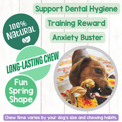 Nature Gnaws beef pizzle dog chew pack offers savory snacks for pups