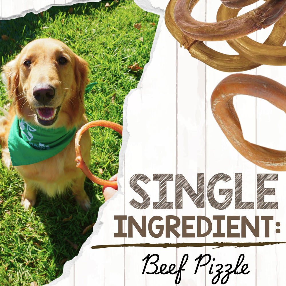 Nature Gnaws beef pizzle ring texture close-up highlighting savory chew for dental wellness.