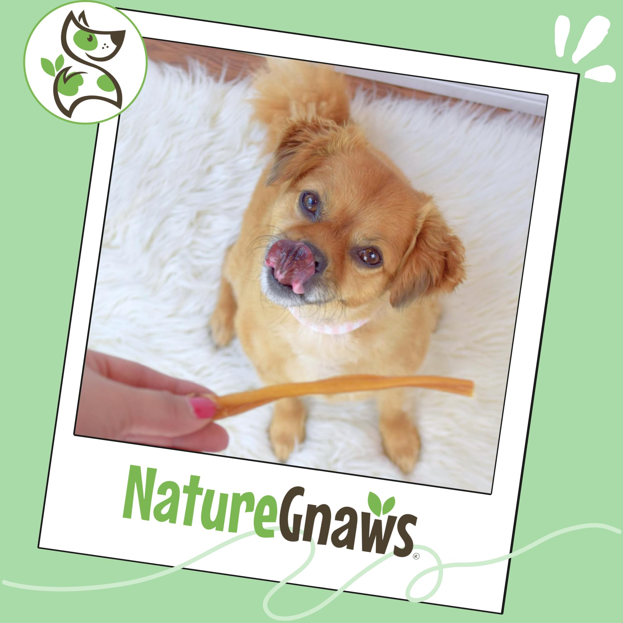 Nature Gnaws beef pizzle single-ingredient chew with natural aroma