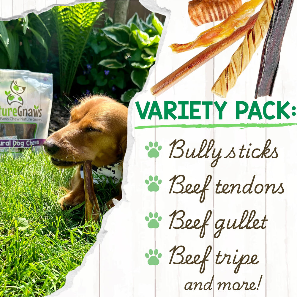 Nature Gnaws beef tendons provide chewy texture for satisfying cravings