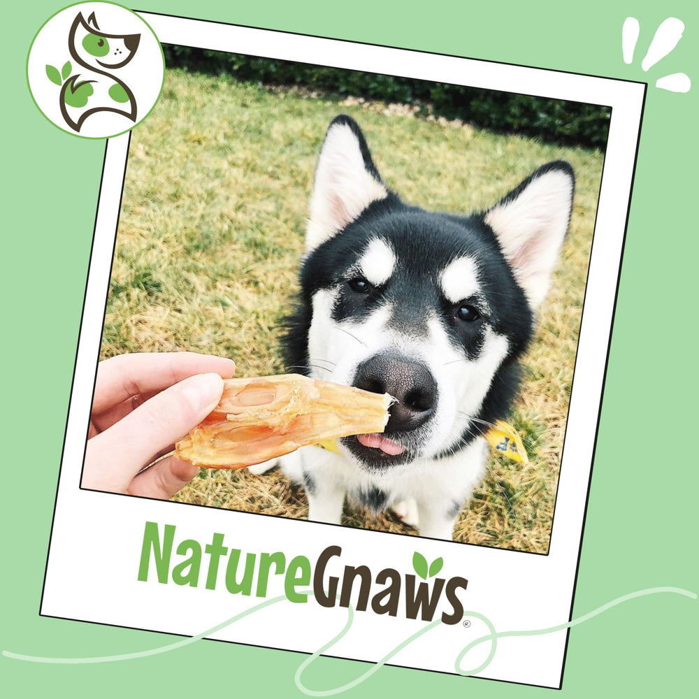 Nature Gnaws Beef Tendons low-odor chew close-up for home use.