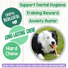 Nature Gnaws Beef Tendons mixed-thickness chew demonstrates varied sessions for dogs.