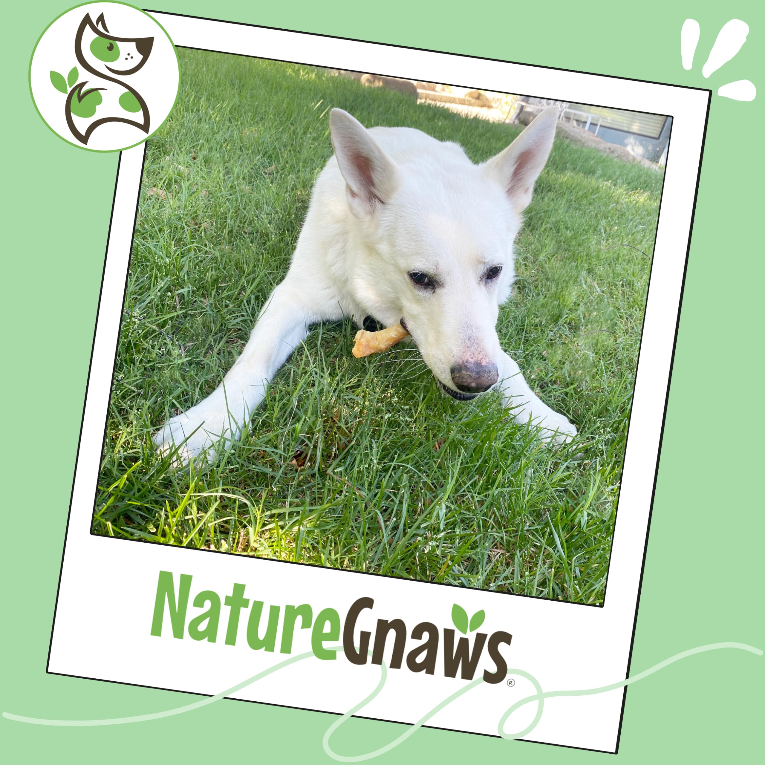 Nature Gnaws packaging highlights responsibly sourced ingredients.