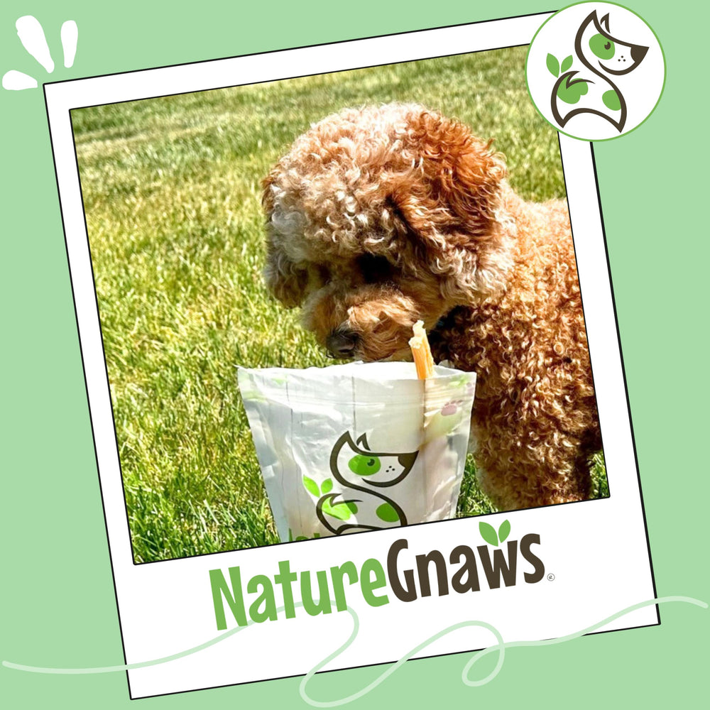 Savory beef aroma from Nature Gnaws Beef Tendons entices dogs.
