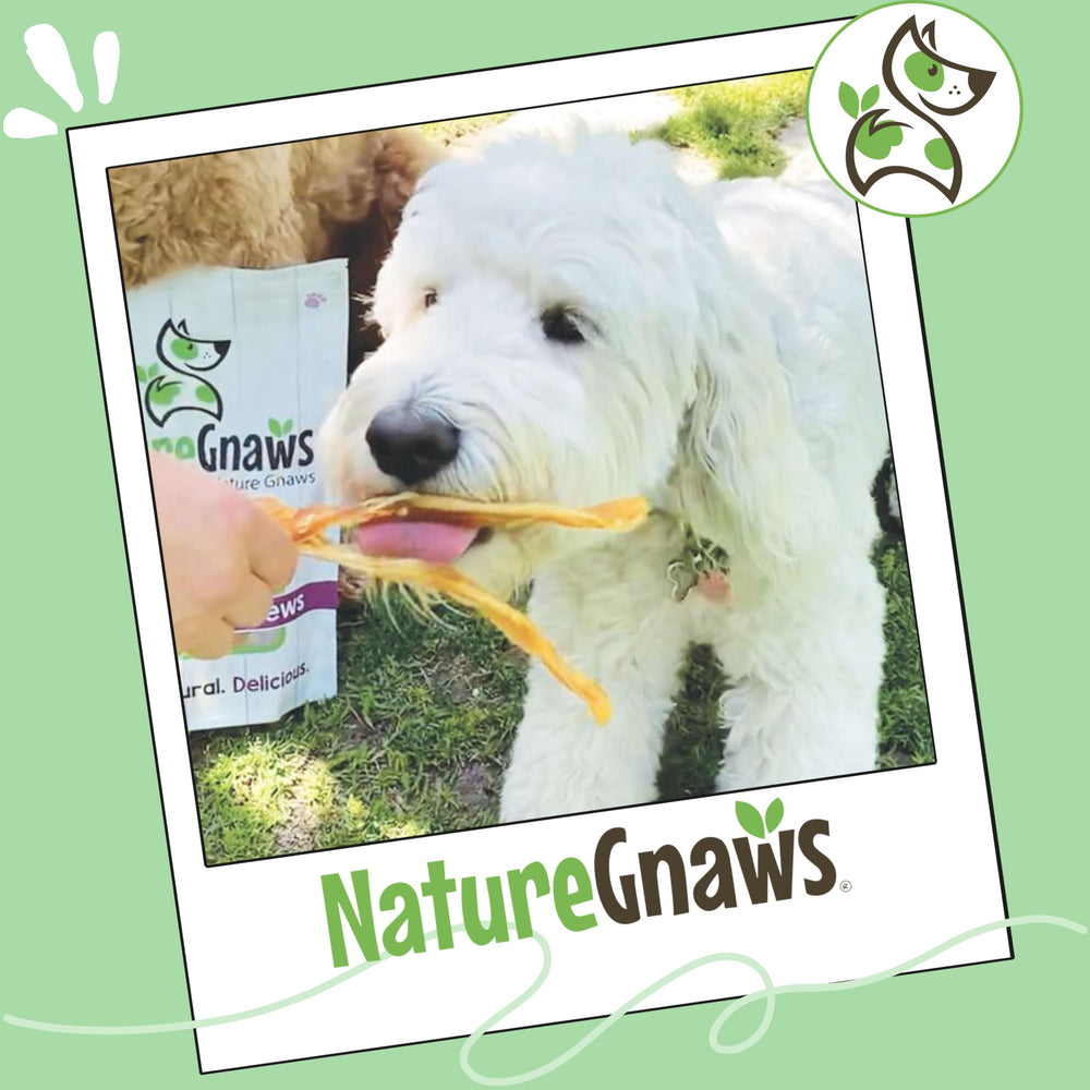 Nature Gnaws Beef Tendons rawhide-free product shot emphasizes a natural alternative.