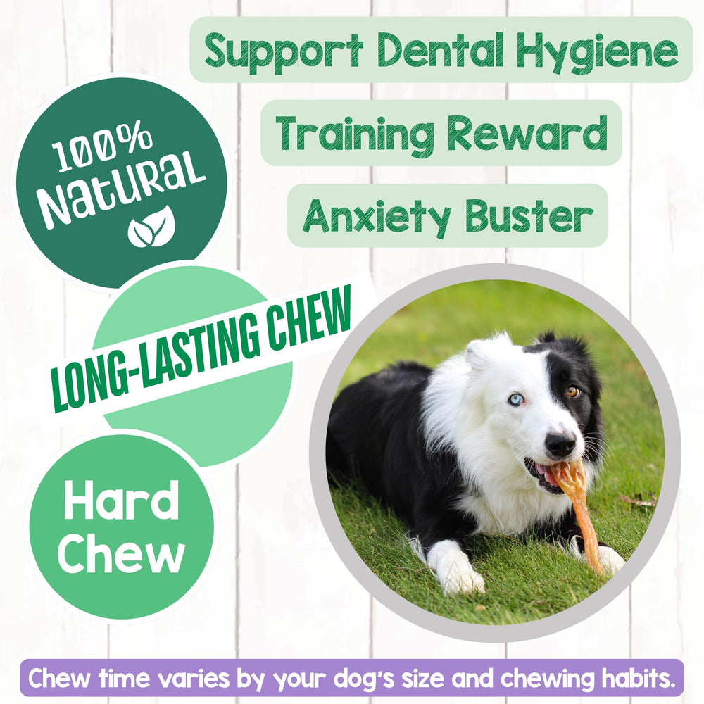 Rawhide-free Nature Gnaws Beef Tendons offer a grain-free chew option.