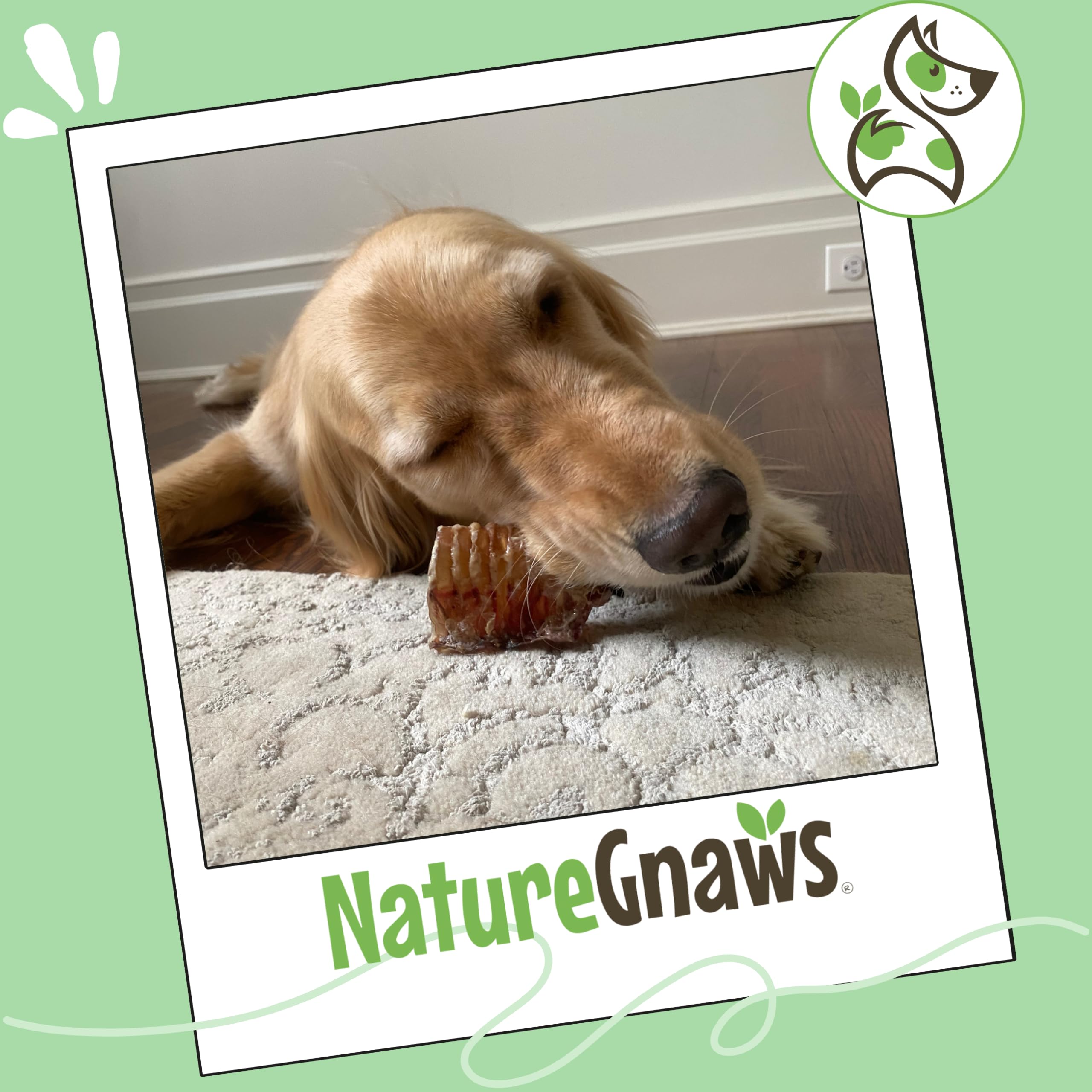 Beef Trachea chews shelf display, rawhide-free and grain-free.