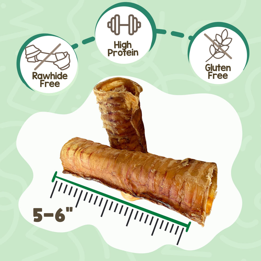 Nature Gnaws beef trachea chews close-up, single-ingredient treat for teething pups.