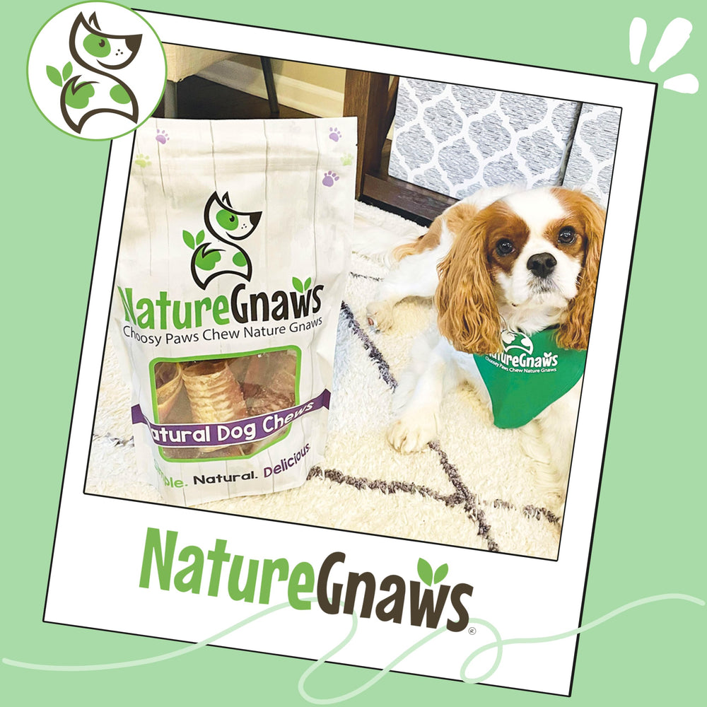 Gluten-free Nature Gnaws beef trachea chews suitable for sensitive diets.