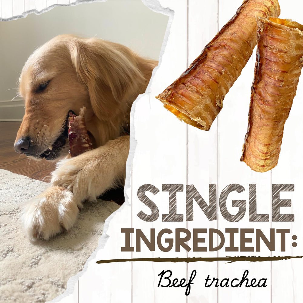 Nature Gnaws beef trachea chews packaging highlight, rawhide-free and grain-free.