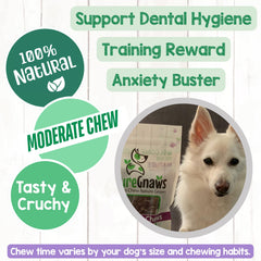 Rawhide-free Nature Gnaws beef trachea chews in a bowl.