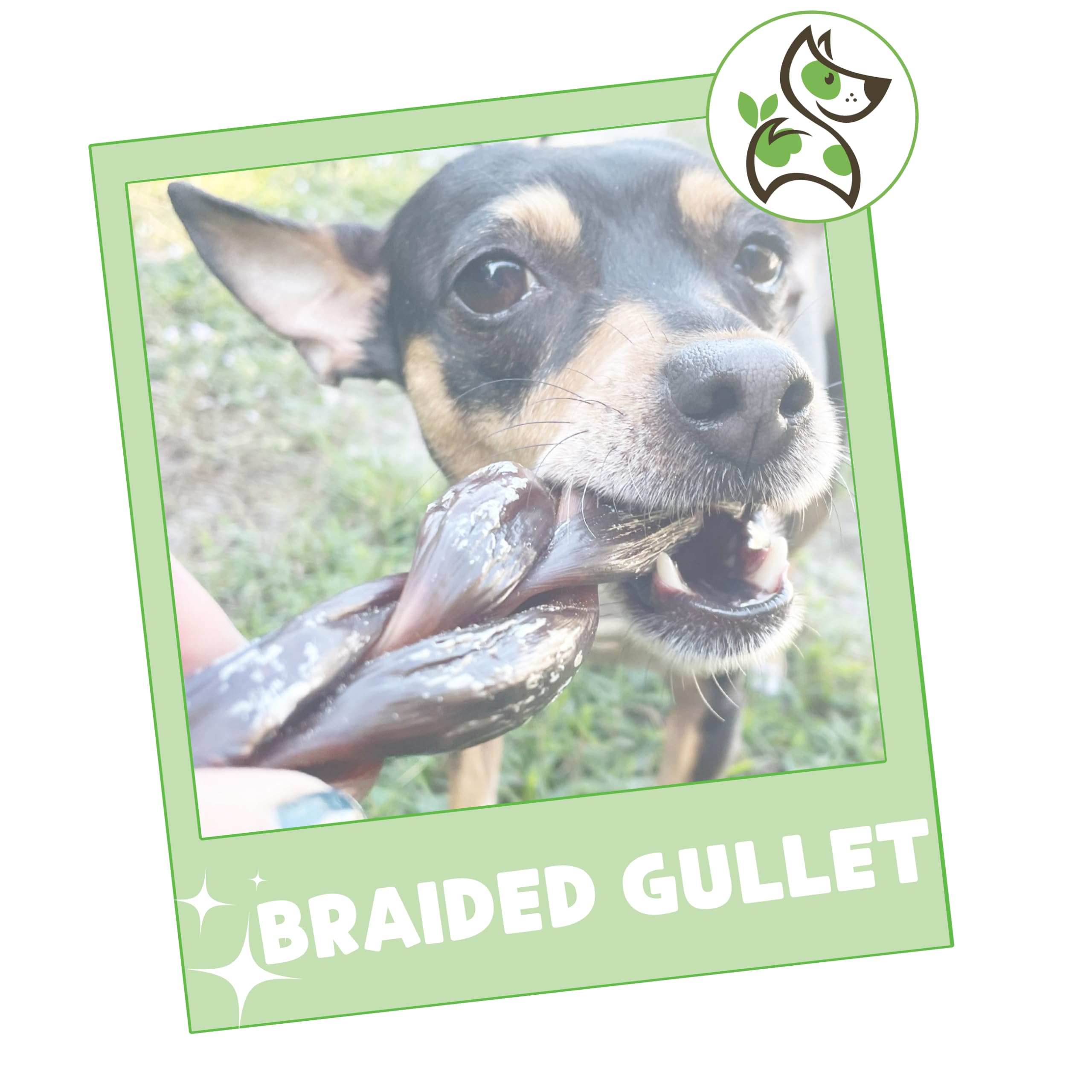 Nature Gnaws Braided Beef Gullet Chews brand ethics badge, responsible sourcing
