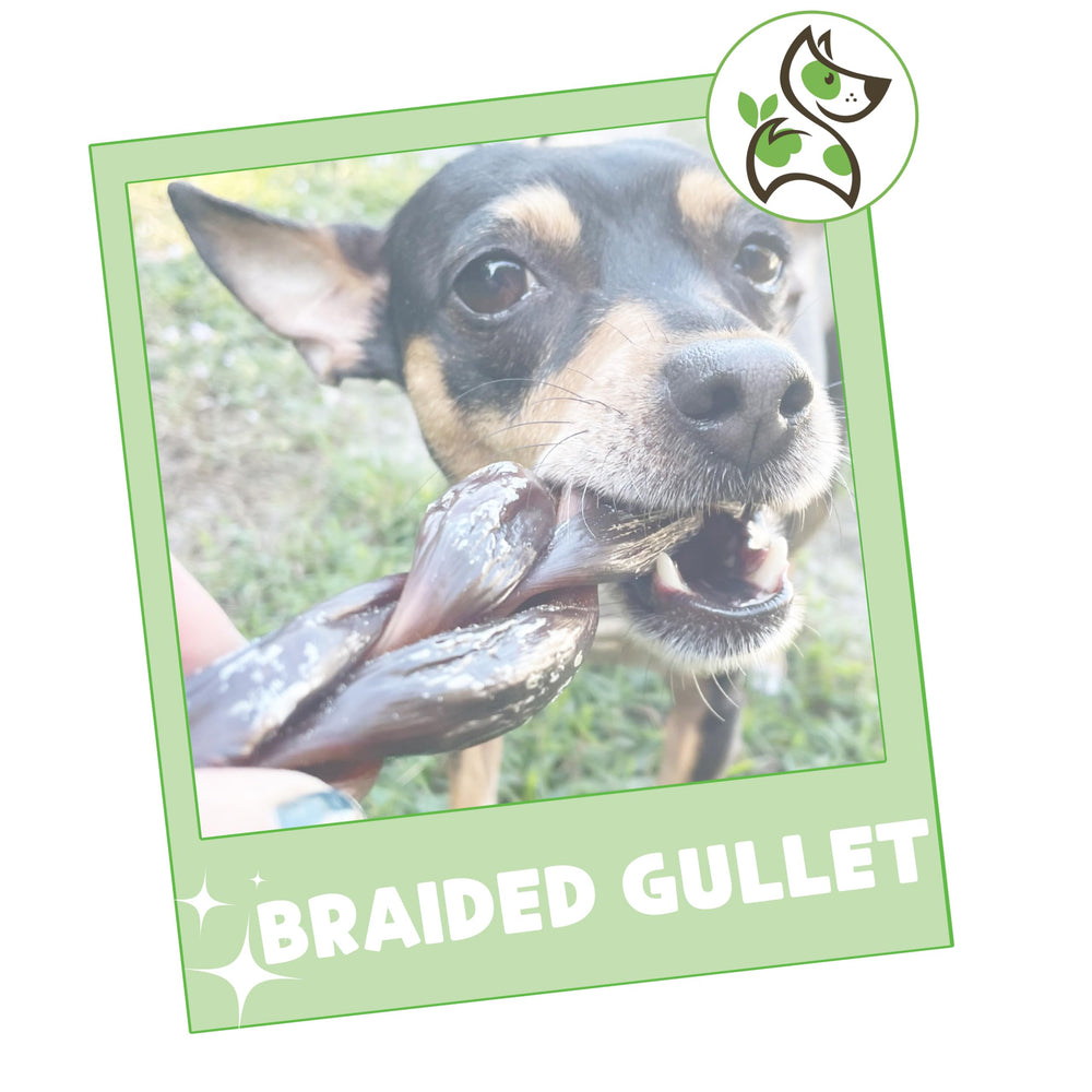 Nature Gnaws Braided Beef Gullet Chews brand ethics badge, responsible sourcing