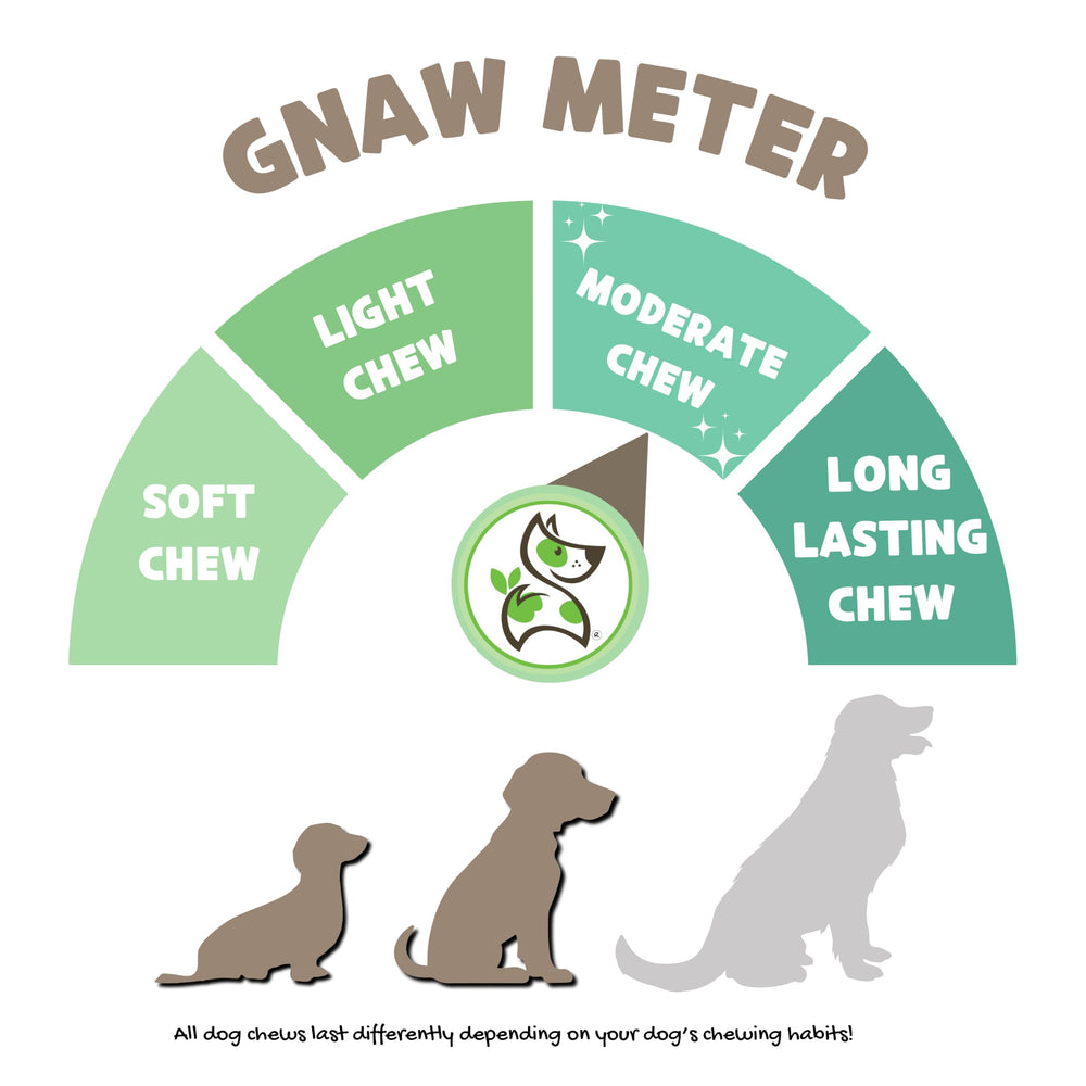 Nature Gnaws Braided Beef Gullet Chews dog chewing moment, single-ingredient beef gullet