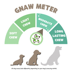 Nature Gnaws Braided Beef Gullet Chews dog chewing moment, single-ingredient beef gullet