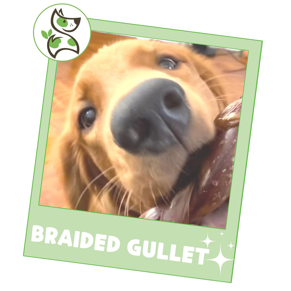 Nature Gnaws Braided Beef Gullet Chews rawhide-free option for healthier snacks