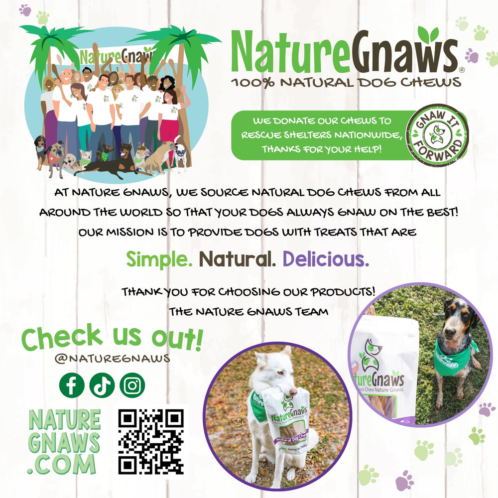 Nature Gnaws Braided Bully Sticks pack 10-count provides value per chew.