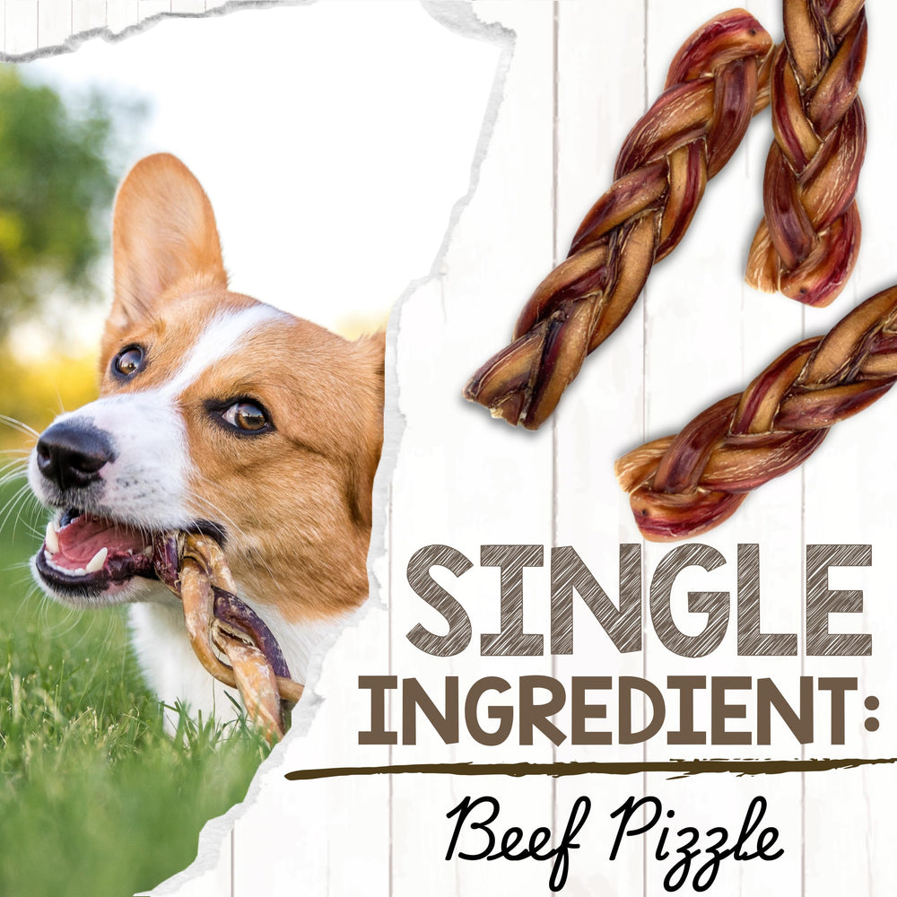 Nature Gnaws Braided Bully Sticks rawhide-free appearance emphasizes a healthy alternative.