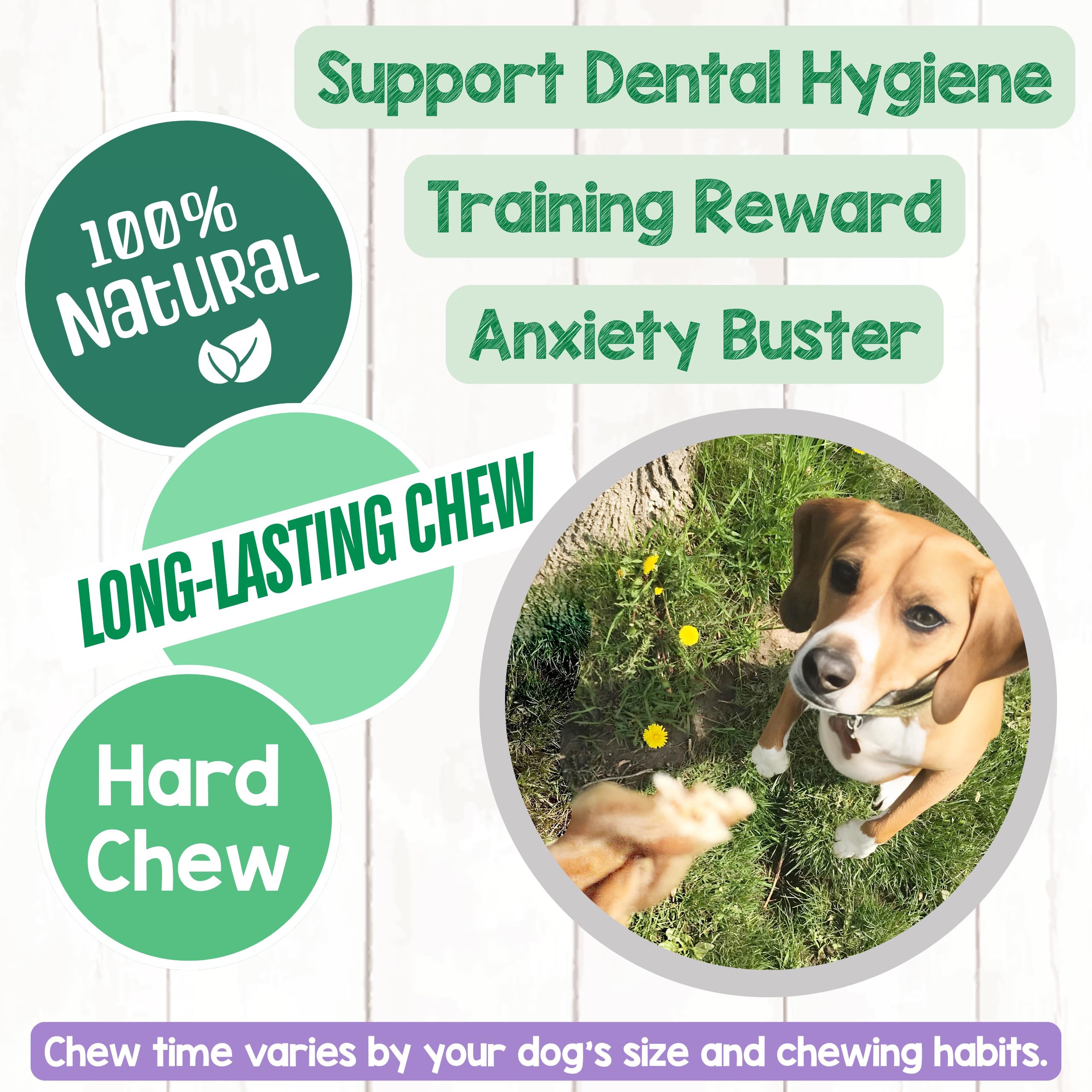 Nature Gnaws braided collagen sticks support dental hygiene through natural chewing.
