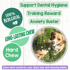 Nature Gnaws braided collagen sticks support dental hygiene through natural chewing.