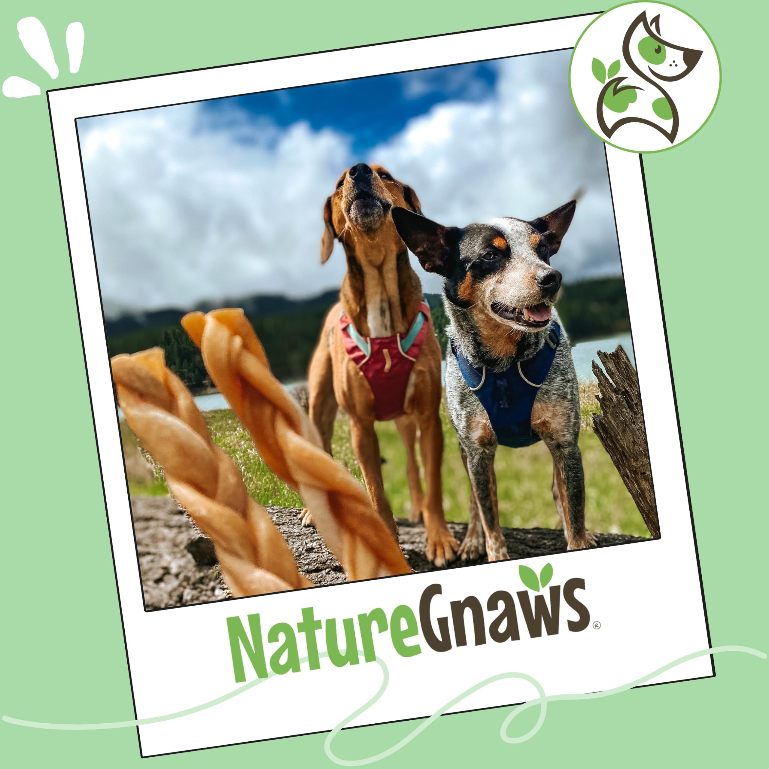 Nature Gnaws braided collagen sticks are low-odor and gluten-free options.