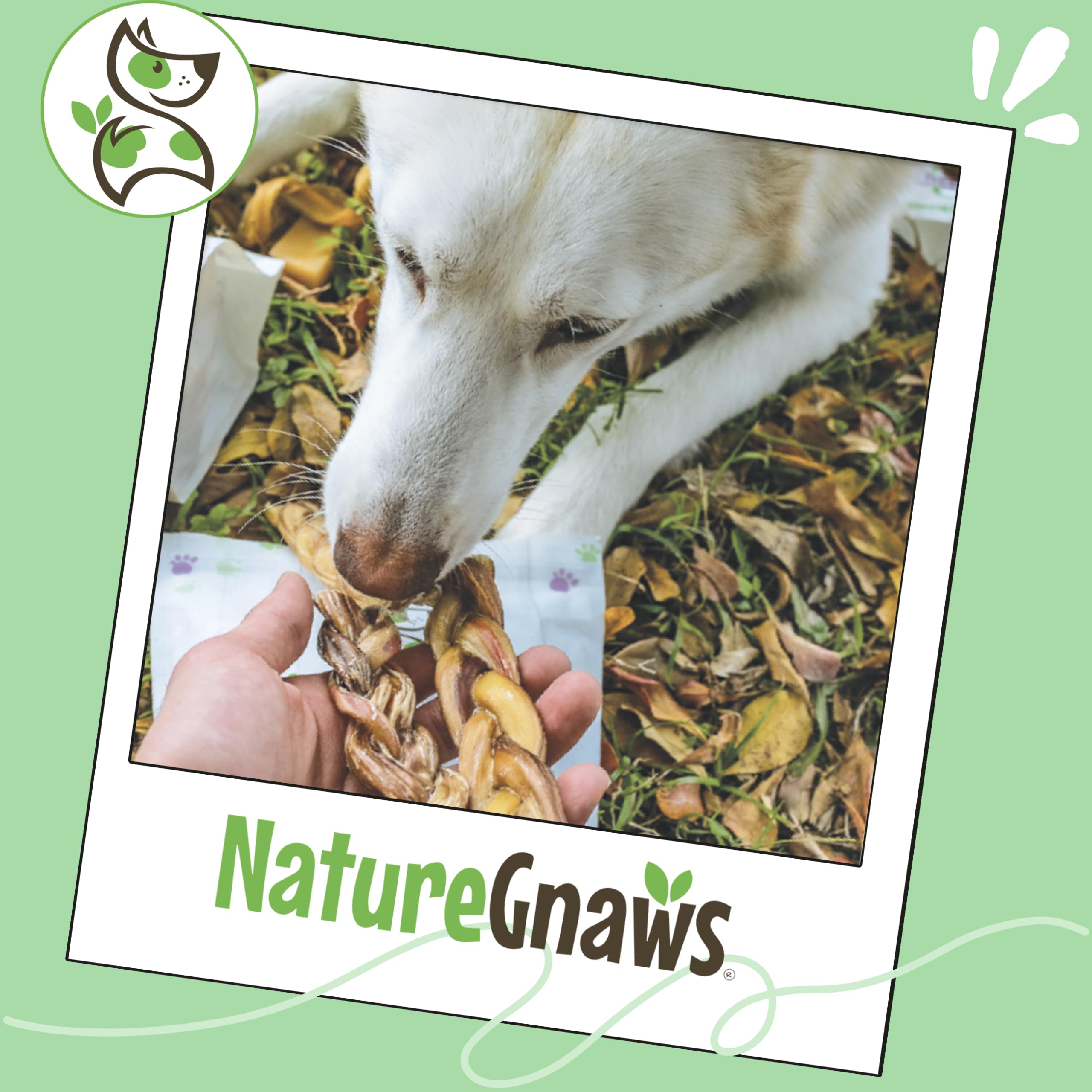 Nature Gnaws braided collagen sticks satisfy chewing needs with durable texture.