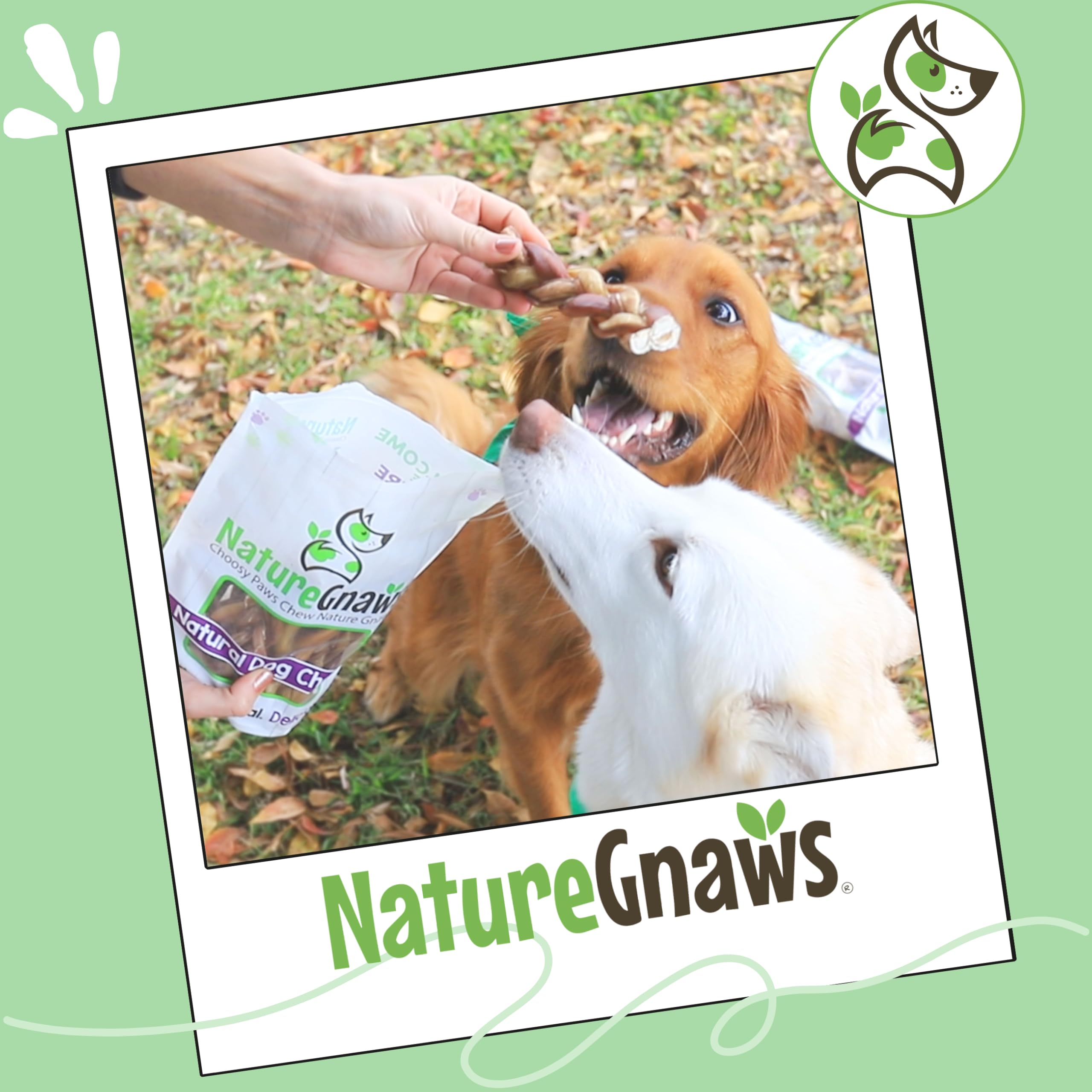 Nature Gnaws braided pork bully sticks natural; premium single-ingredient snack