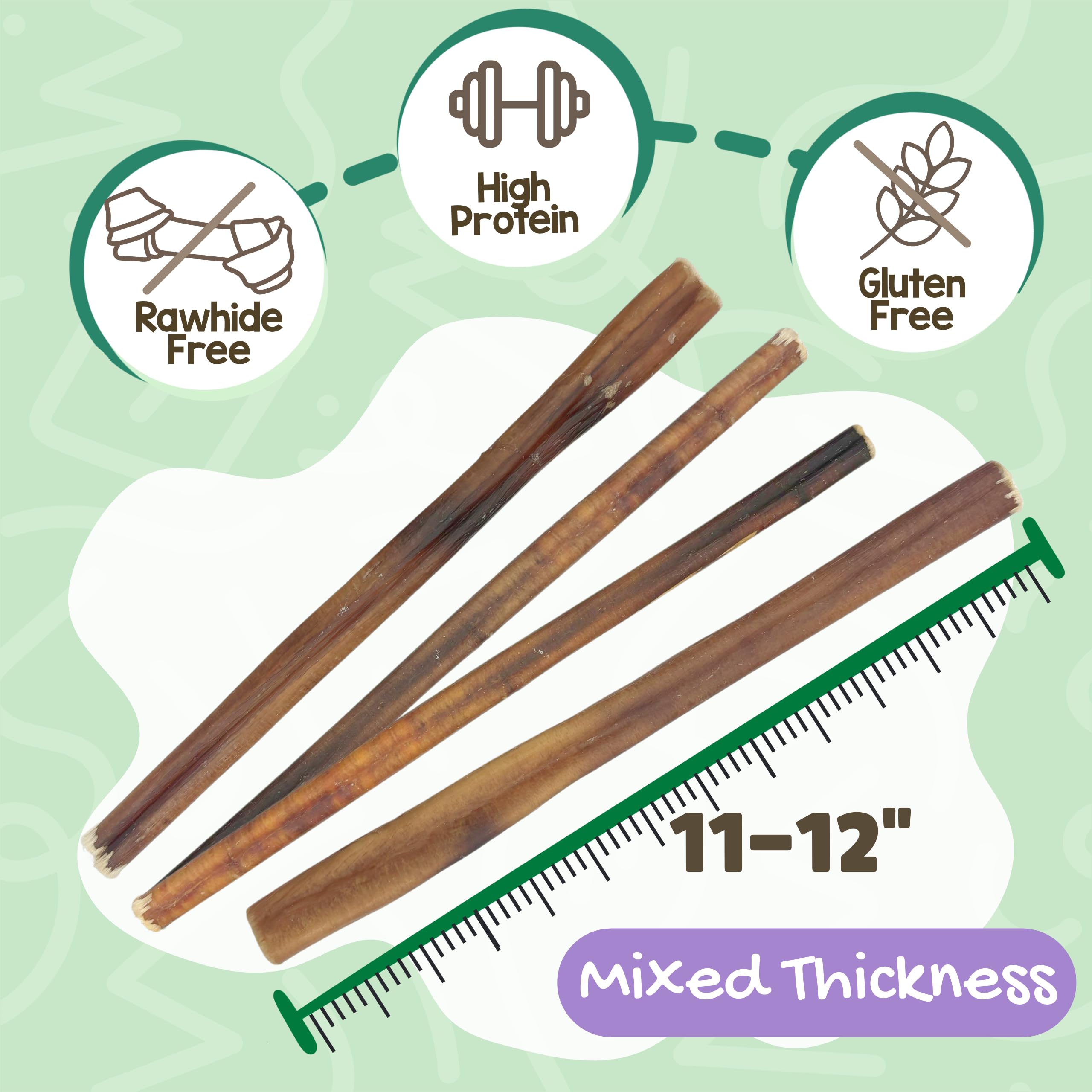 Nature Gnaws Bully Sticks 11-12 inch pack, long-lasting chews for larger dogs.