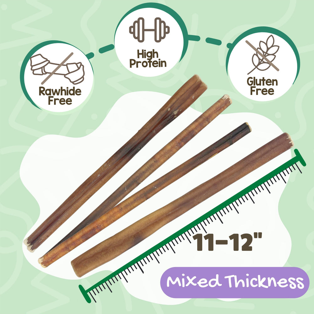 Nature Gnaws Bully Sticks 11-12 inch pack, long-lasting chews for larger dogs.