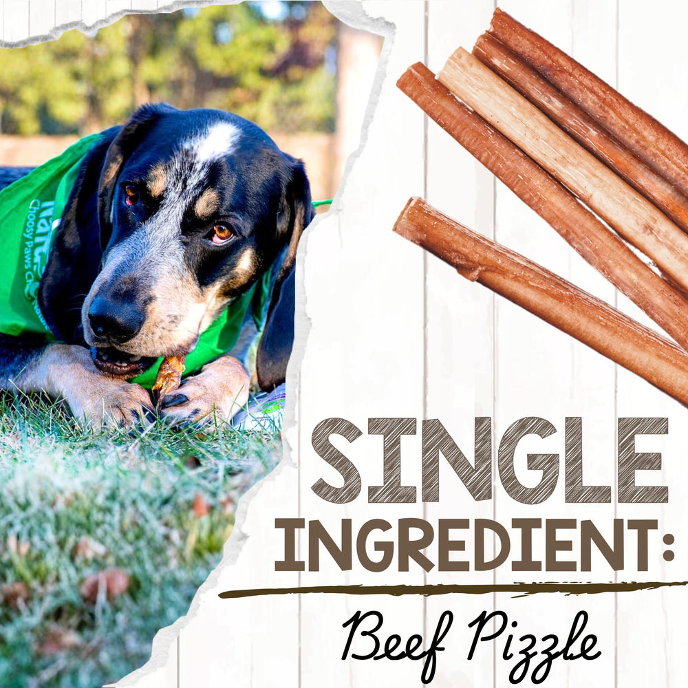 Bag of Nature Gnaws bully sticks ready for treats and long-lasting entertainment.