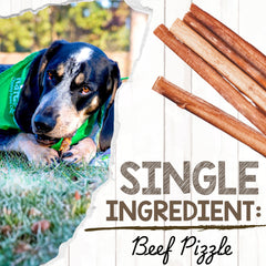 Nature Gnaws Beef Pizzle close-up; natural single-ingredient chew.